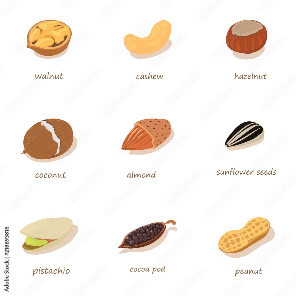 Aufkleber variety of nuts icons set. isometric set of 9 variety of nuts vector icons for web isolated on white