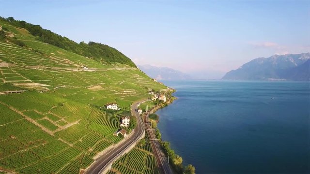 4K Aerial footage of Vineyard fields in Terrasses de Lavaux near Lausanne in Switzerland - UHD