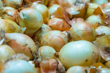onions on the counter of the store. Place for your text.