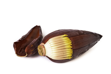 banana flower on white background