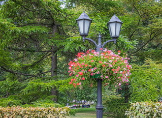 Fototapeta na wymiar Street lamp in the park, decorated with curling flowers.
