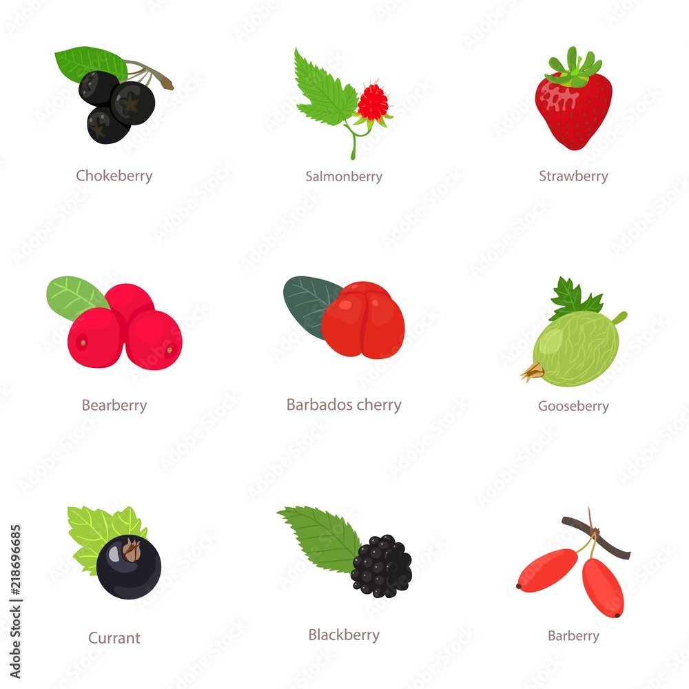 Poster berry type icons set. isometric set of 9 berry type vector icons for web isolated on white backgroun