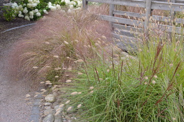 Aberdour Old School Sensory Garden, Aberdour, Fife, Scotland, with plants designed to stimulate all of the senses.