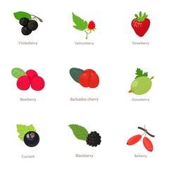 Berry type icons set. Isometric set of 9 berry type vector icons for web isolated on white background