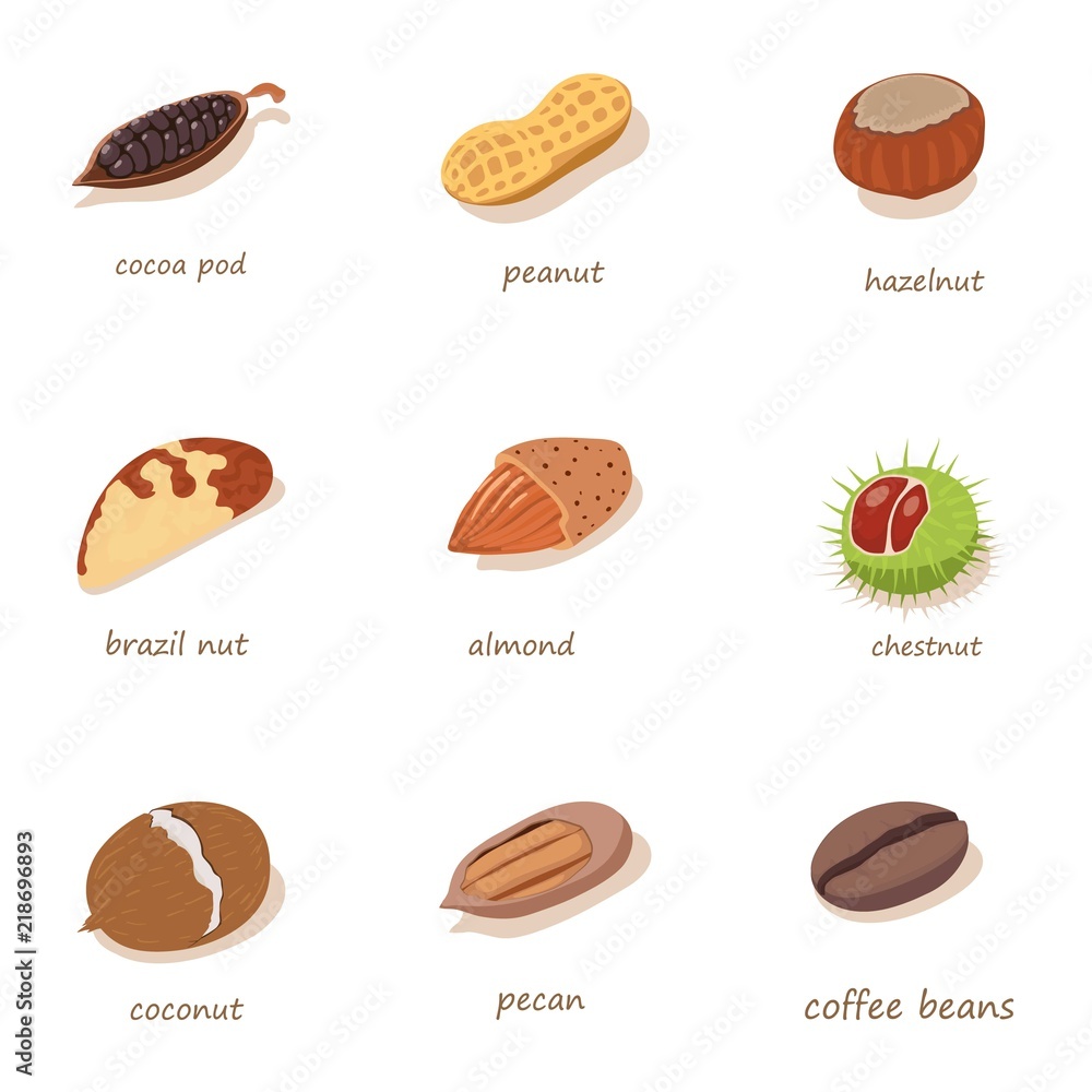 Poster nut filling icons set. isometric set of 9 nut filling vector icons for web isolated on white backgro