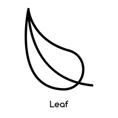 Leaf icon vector isolated on white background, Leaf sign , line or linear design elements in outline style