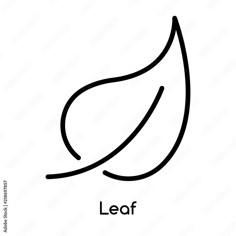 Poster leaf icon vector isolated on white background, leaf sign , line or linear design elements in outline