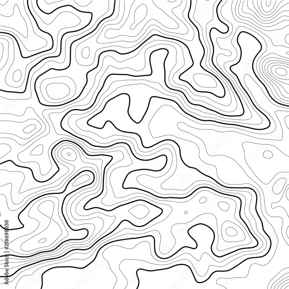 Poster topographic map background. grid map. contour map vector. business concept. abstract vector illustra