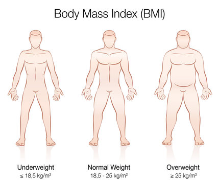 Body Mass Index BMI. Underweight, normal weight and overweight male body. Isolated vector illustration of three men with different anatomy.