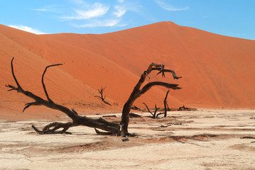 Deadvlei