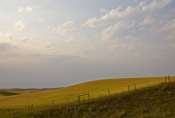 Obraz premium Summer Prairie Scene