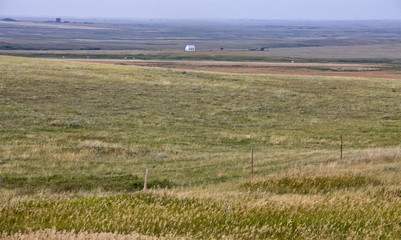 Summer Prairie Scene