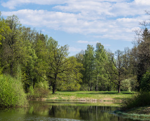 Fototapeta na wymiar Summer landscape with the lake