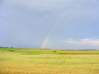 Rainbow in the sky over field of oast
