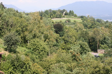 panorama