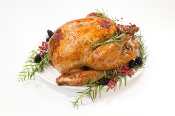Thanksgiving Turkey on White