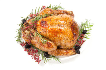 Thanksgiving Turkey on White