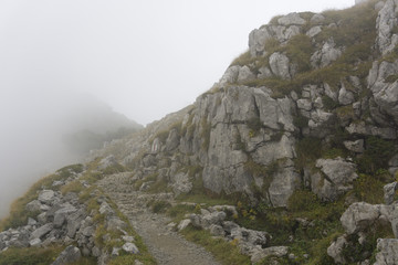Foggy Mountain Trail 