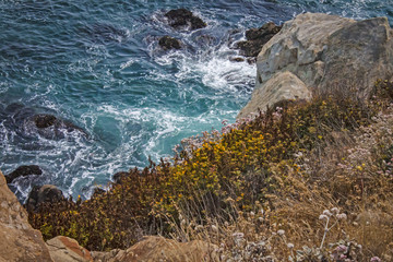 Fort Ross, California Sea Cliffs