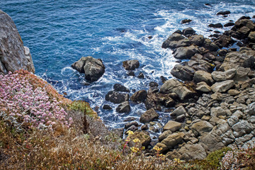 Fort Ross, California Rocky Coast