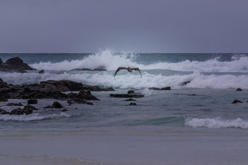 A rainy day in Playa Tortuga, Galapagos, Ecuador