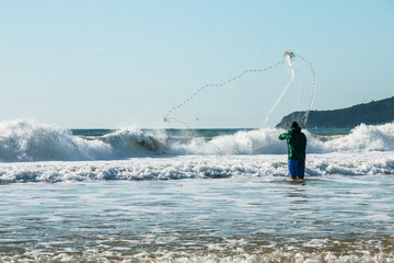 praia, beach, animais, gaivota, mar, oceano, onda, areia, pesca, pescador, brasil, florianopolis,...