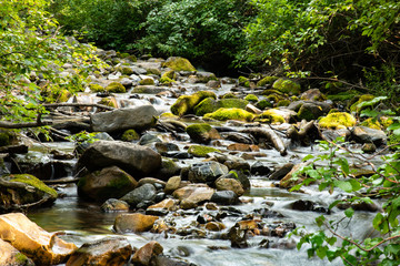 Mountain stream