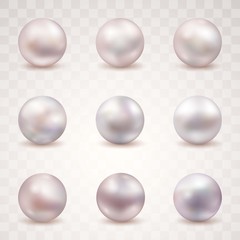 Vector collection shiny pearl illustration isolated on transparent background