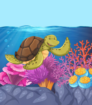 Happy turtle underwater reef scene