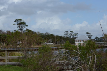 Fototapeta premium cottage