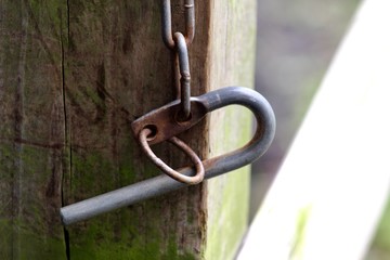 Obraz premium Livestock gate latch on wooden post