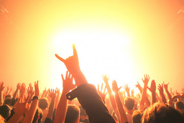 Cheering crowd at a rock concert