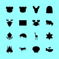 16 animal icons set