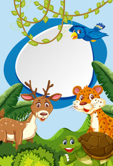 Obraz na płótnie Canvas Wild animals in nature frame