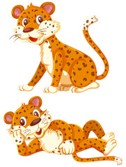 A set of cute cheetah on white background