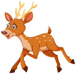 A cute deer on white background