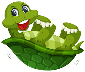 Fototapeta premium A cute turtle on whitw background