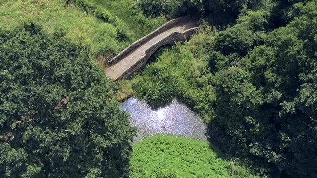 Aerial side and top view, up move. Drone fly over old small sandstone roman bridge and duckweed, overgrown water pond in english countryside.