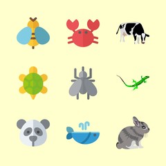 animal vector icons set. panda, mosquito, lizard and wild rabbit in this set