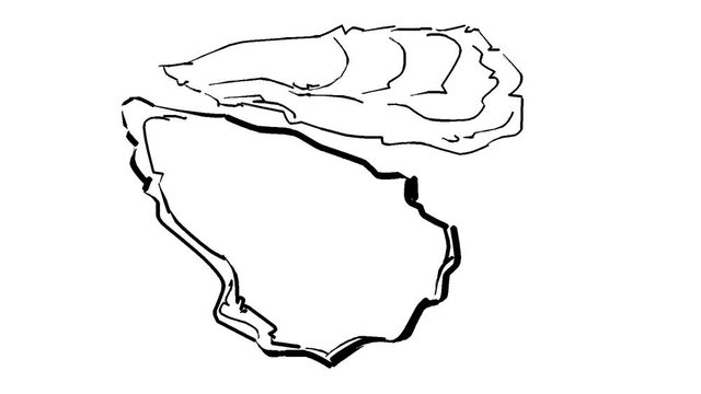 oyster - Change color animation