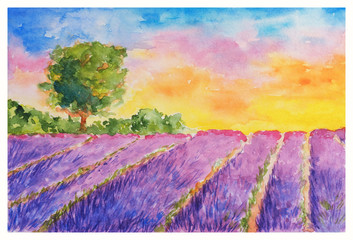 Summer Landscape: Booming Violet Lavender Field and Single Tree at Sunset, Watercolor Hand Drawn and Painted - 218715059