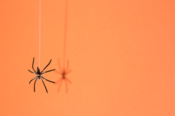 Halloween background concept. Black spider shadow and silhouette hanging on web on orange background
