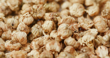 Medicine dry chrysanthemum