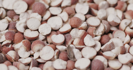 Chinese Gordon euryale see