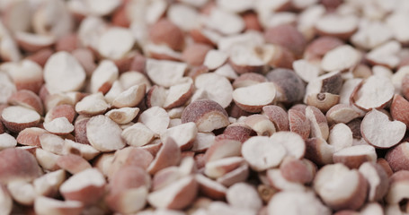 Chinese Gordon euryale seed