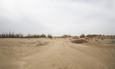 landscape in the desert
