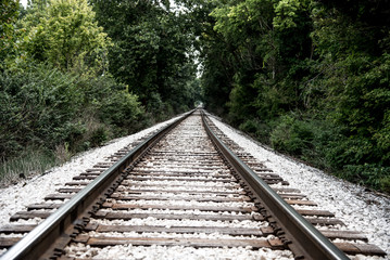 Fototapeta premium Train railroad bridge across trees