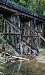 Train railroad bridge across trees