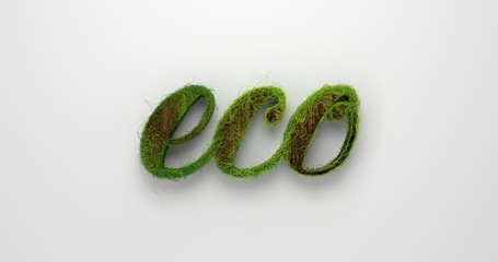 The word "eco" enclosed by plants and on a gray background. 3d rendering