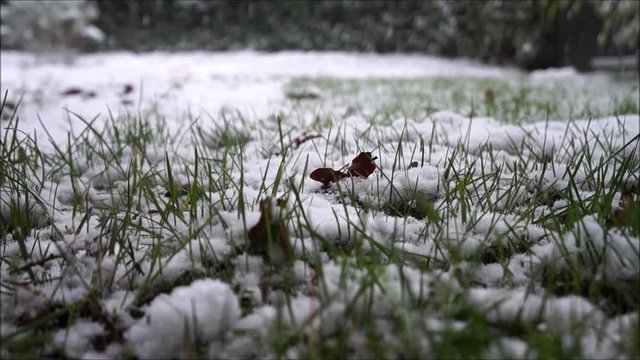 Winter auf der Wiese